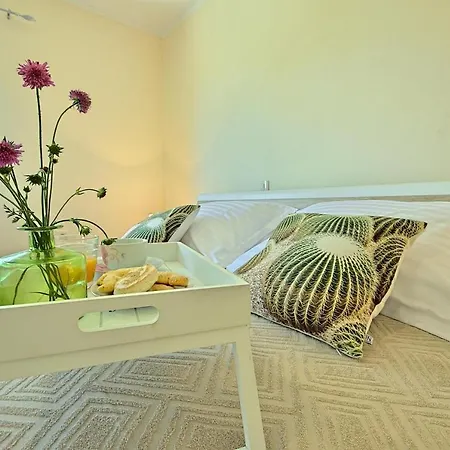 Vakantiehuis Casa Ana Tripari